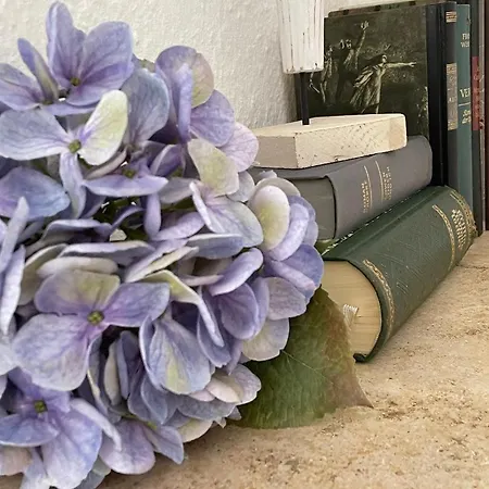 Cosy Auf Zeit شقة نورنبيرغ